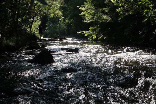 雄大な川