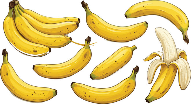 Fresh Yellow Banana Vector Illustration Set Featuring Single Whole Peeled and Bunches of Ripe Fruit Elements Isolated on White Background?