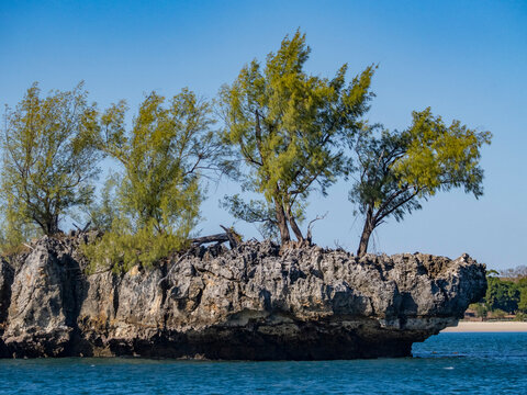 Limestone stacks with arches and caves showing vegetation near Madagascar coast