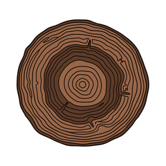 Fototapeta premium Cross-Section of a Tree Stump Isolated on White Background