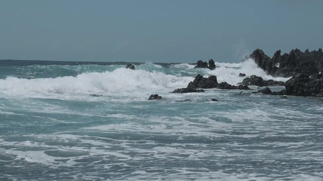 surfing on the sea