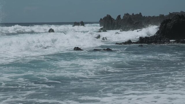surfing the wave