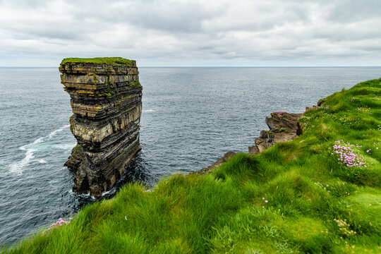 Dun Briste sea stack at Downpatrick Head, County Mayo, Ireland. Dramatic Atlantic cliffs, wildflowers and layered rock on the Wild Atlantic Way.