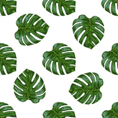 Hand drawn vintage seamless pattern of green monstera tropical leaves in botanical engraving style vector illustration © Mariia Mazaeva