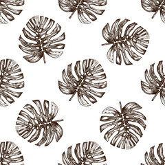 Hand drawn vintage seamless pattern with monstera tropical leaves in botanical engraving style vector illustration © Mariia Mazaeva