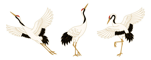 Obraz premium Elegant Japanese red crowned crane collection featuring graceful flying standing and dancing bird illustrations in traditional oriental style