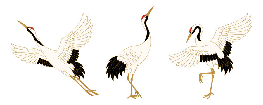 Elegant Japanese red crowned crane collection featuring graceful flying standing and dancing bird illustrations in traditional oriental style