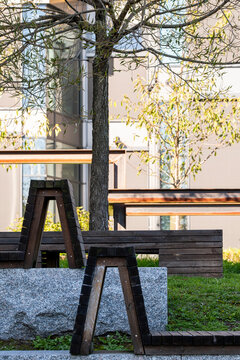 courtyard bench sits beside tree and grass where urban residential exterior, windows and architecture frame a quiet public seating area