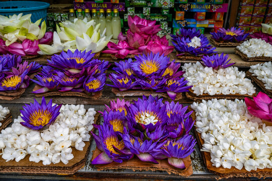 Flowers for sale at a market near the Temple of the Tooth in Kandy Sri Lanka