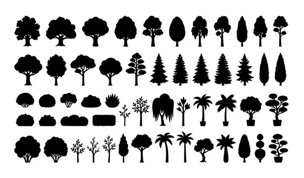 Big Cartoon Forest Tree Vector Collection with Flat Silhouettes and Sapling Nature Elements