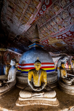 Buddha statues in Dambulla cave temple showcase ancient art and culture in a historic location in Sri Lanka