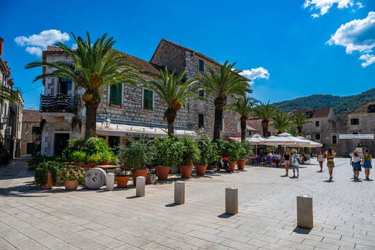 Stari Grad with palm trees and people enjoying a sunny day in the old town of Hvar, Croatia