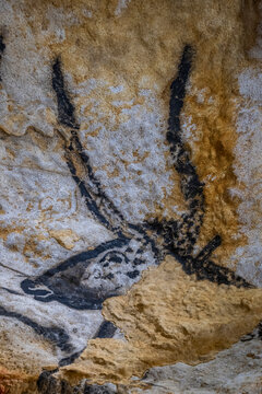 Exploring prehistoric art in the cave of Lascaux with ancient animal drawings in France