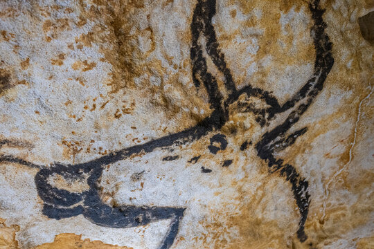 Prehistoric art found in Lascaux cave depicts ancient life in France