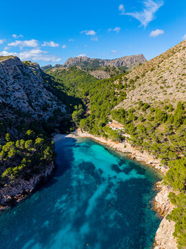 Explore cala Murta beach on the Formentor peninsula in Mallorca, Balearic islands, Spain with clear water and rocky cliffs