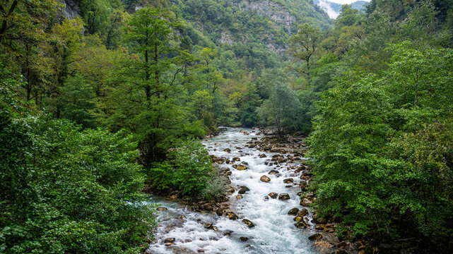 Lupshara river flows through a green valley surrounded by trees in Ritsa Relict National Park in Abkhazia, Russia during daytime