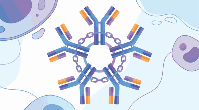 IgM Antibody Structure