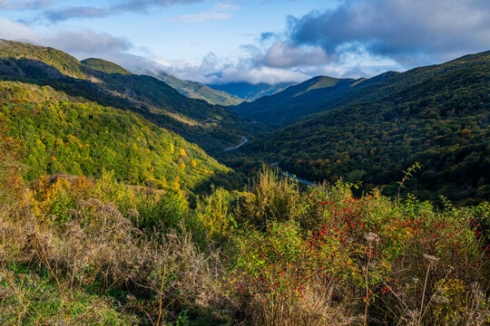 Mountains and valleys show nature in South Ossetia with green forests and open sky during clear weather