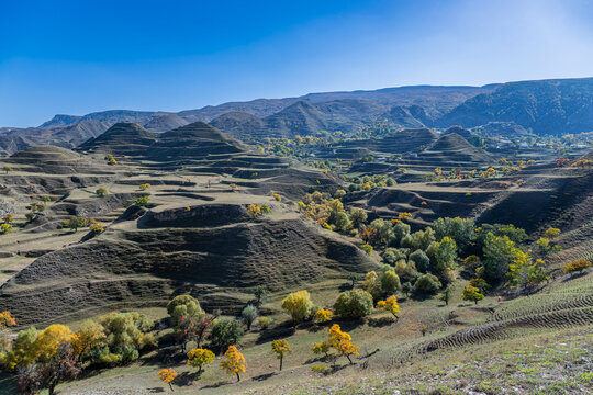 Terrace fields showcase farming methods in mountainous terrain of Dagestan during autumn