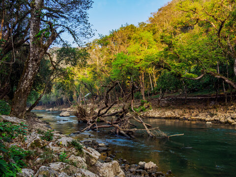 Visitors walk along Cahabon River surrounded by trees and rocks in Semuc Champey during daylight in Guatemala