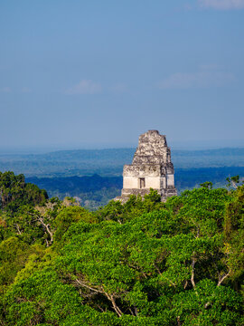Elevated view of Temple I at Tikal showing lush greenery in the background and distant landscape under blue sky