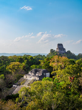 View from Talud-Tablero Temple 5C-49 overlooking Temple IV in Tikal, Peten, Guatemala
