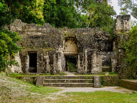 Exploring Group G at Acanaladuras Palace in Tikal, Guatemala, with historical stone ruins and lush vegetation
