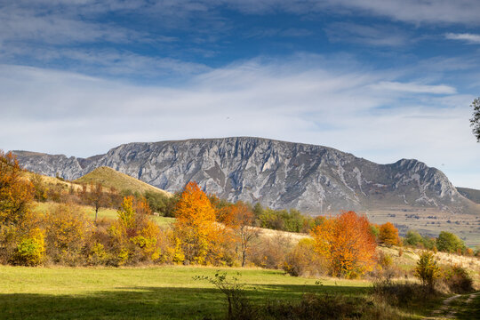 Colorful trees change during autumn in Romania showcasing nature's beauty with hills in the background