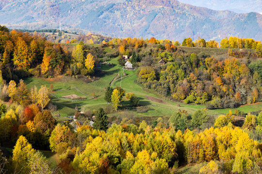 Autumn landscape with vibrant trees and hills shows the beauty of nature in Romania during fall season