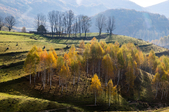 Colorful trees and rolling hills show the beauty of autumn in Romania