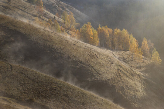 Autumn trees stand in colorful display on hills during morning light in Romania