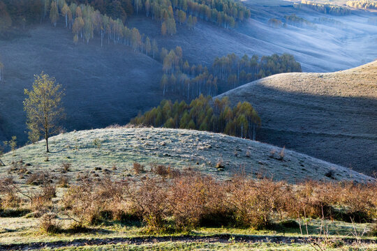 Colorful trees cover a hillside in autumn with morning mist in Romania's rural landscape