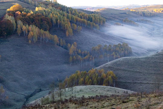 Explore vibrant autumn trees and rolling hills in Romania's countryside during the early morning light