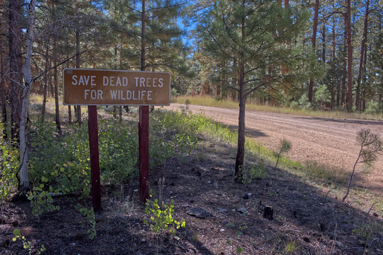 Sign instructs loggers to save dead trees for wildlife in Kaibab National Forest, Arizona
