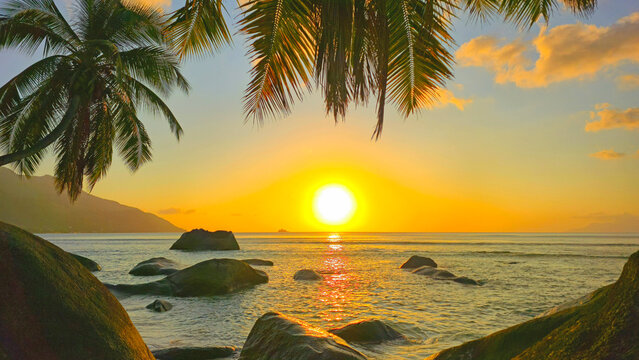 Sunset view over the water with rocks and palm trees at Beau Vallon beach on Mahe in Seychelles
