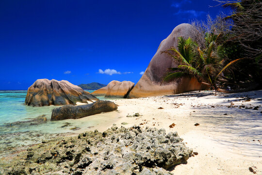 Explore the natural beauty of Anse Source dArgent beach with rocks, trees, and clear waters in La Digue Seychelles