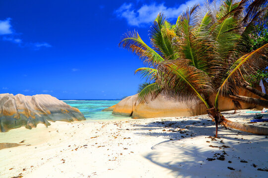 Stunning beach scene featuring palm trees and granite rocks during bright daylight in Seychelles