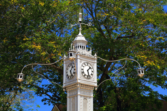 Visitors admire Victoria Clock Tower in a sunny setting surrounded by green trees, located in Seychelles