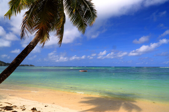 Exploring Beau Vallon Beach with palm trees and clear waters on a sunny day in Seychelles
