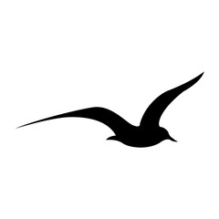 Obraz premium Flying seagull. The contrasting silhouette of a bird with wide spread wings. Silhouette of a seagull in flight. A symbol of open space and nature.