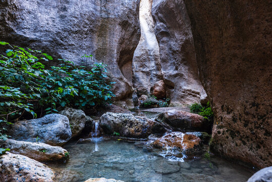 Small turquoise pool surrounded by rocks and green vegetation in a canyon in Spain