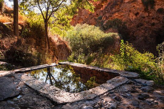 Natural stone pool reflecting canyon walls and trees near Durcal in Granada, Andalusia, Spain