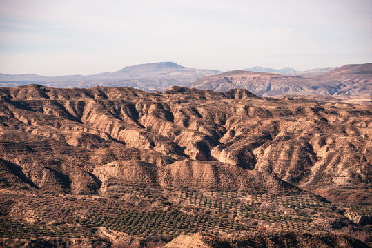 Light falls on ridged hills and olive groves near a desert in Granada, Andalusia, Spain at sunset