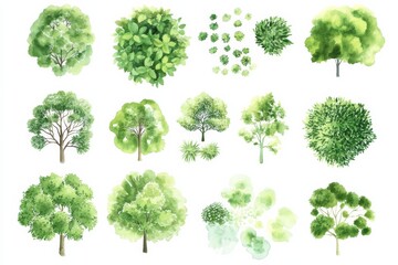 Fototapeta premium Collection of green trees viewed from above in watercolor style showing various shapes and shades of tree foliage