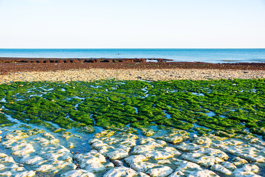 Colorful tide pools and green seaweed-covered rocks at low tide under cliffs in Normandy France