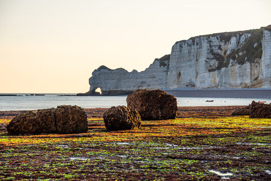 Golden light illuminates chalk cliffs and seaweed rocks at low tide in Etretat, France