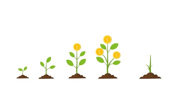 Creative Business Growth Concept. Wealth Building, Savings, and Passive Income, Growing Stages Of A Money Plant From Small Sprout To Fully Grown Financial Tree With Dollar Coin Fruits. 