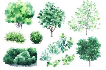 Naklejka premium Collection of watercolor green bushes and shrubs for use in garden decoration and design ideas on a white background