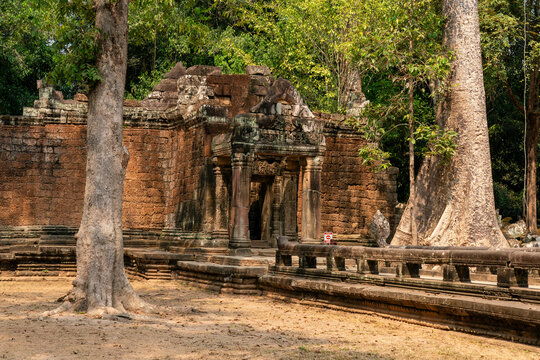 Exploring Ta Prohm Temple surrounded by trees in Siem Reap Cambodia during midday