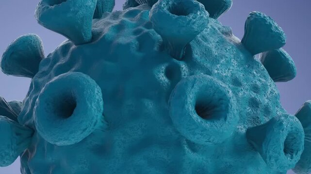 Detailed view of a virus structure with spikes and surface features captured in a scientific graphic.